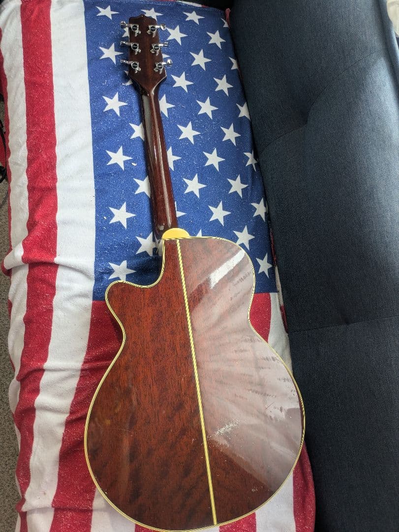 タカミネ　PT-106