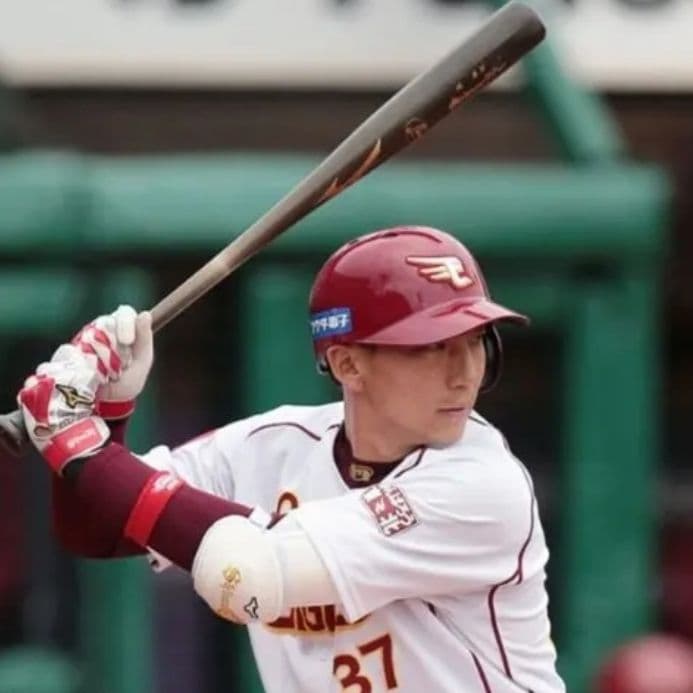 【プレミア】嶋基宏 ミズノプロ ミズノ 硬式木製バット 85cm 932g