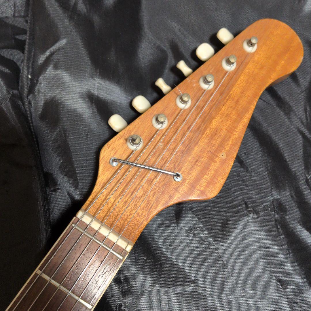 キングオブビザール！！ エレキギター☆テスコデルレイ！