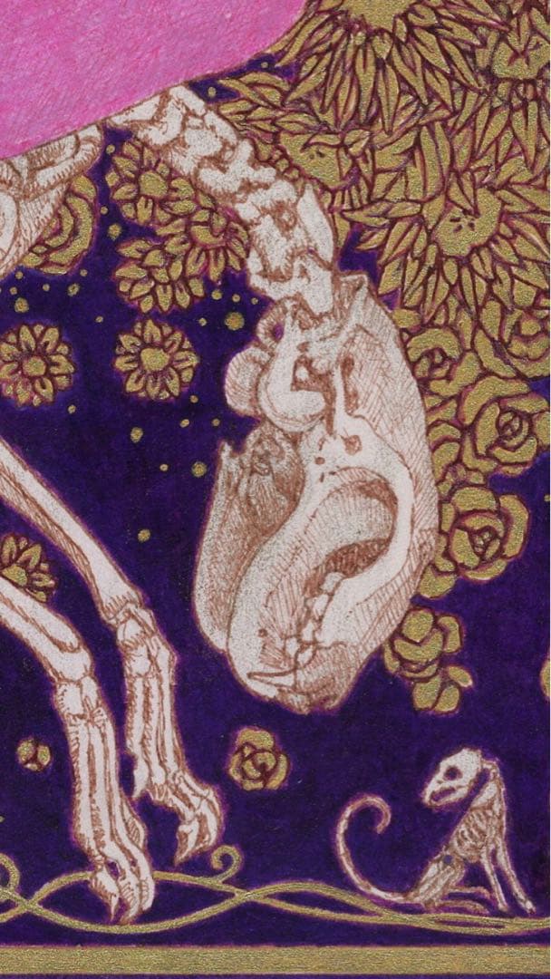 緊縛天使　コスモス　Bondage angel Cosmos