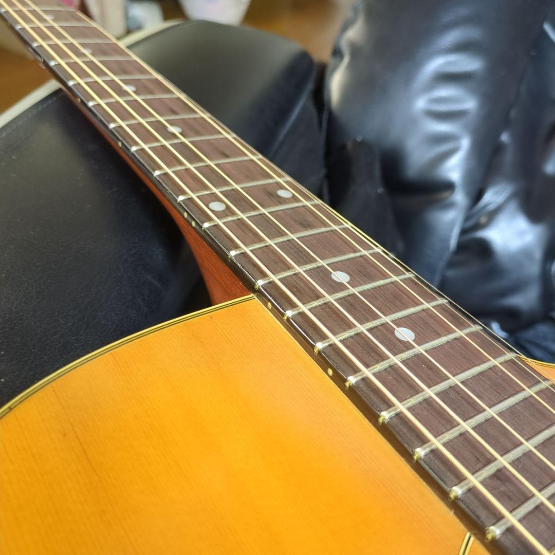 Maton エレアコ. 希少ビンテージ、トレッドノート