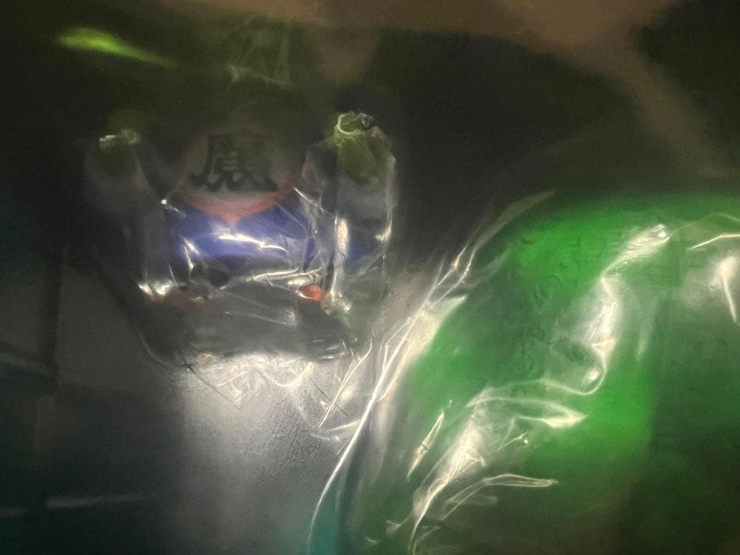 ジーマ限定　ドラゴンボールアライズ　ドラム　通常カラー　特典付き