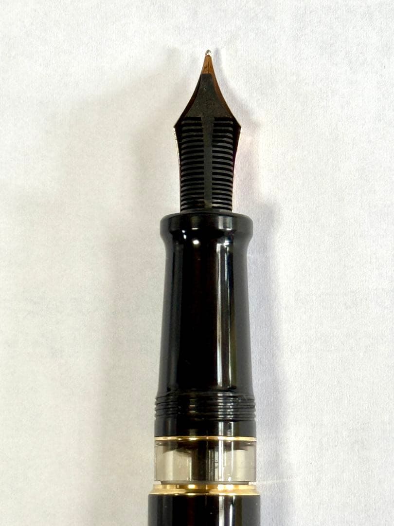 10万❗️アウロラオプティマ　ブラックF