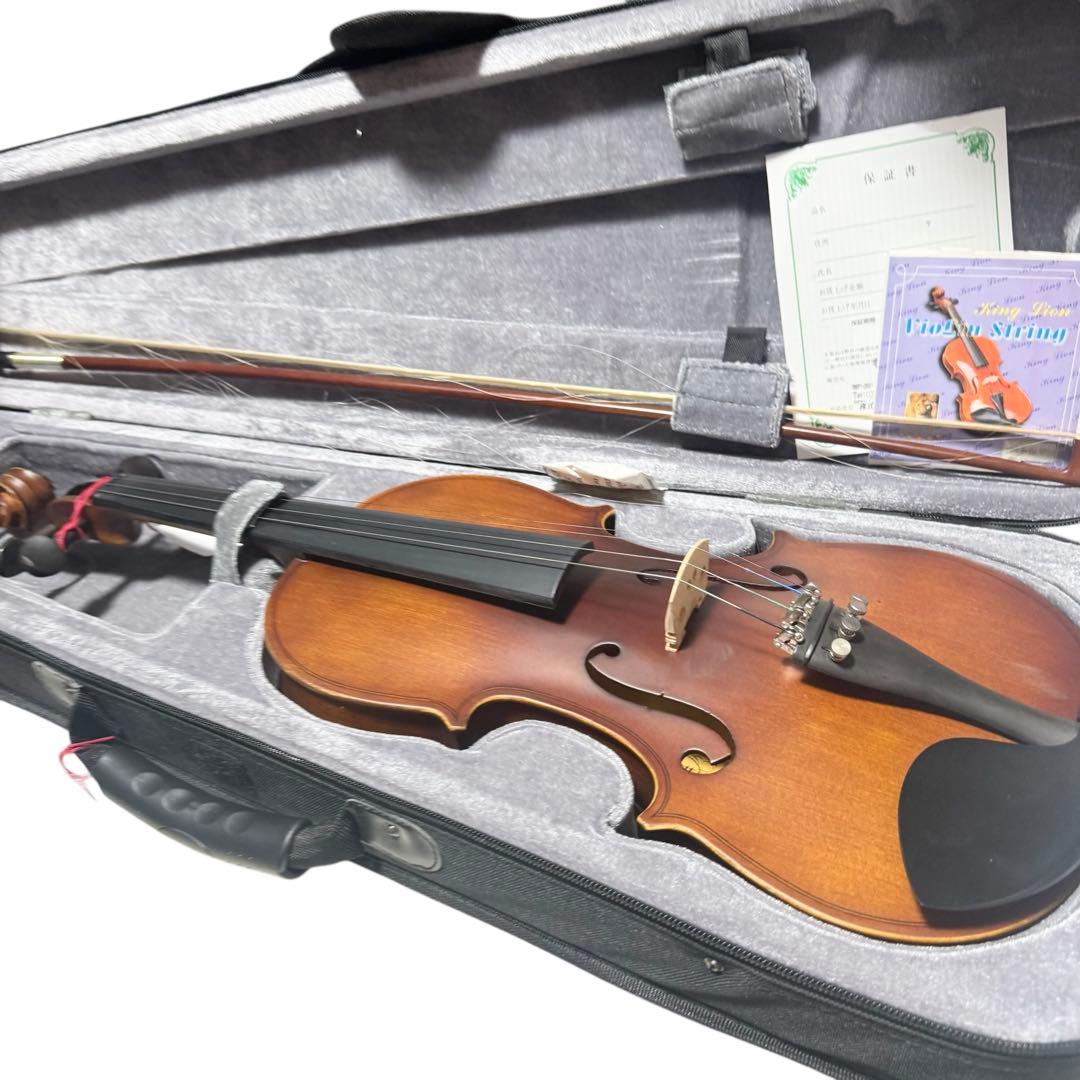 Hallstatt V-12 バイオリン 本体 ケース付ヴァイオリンおまけあり