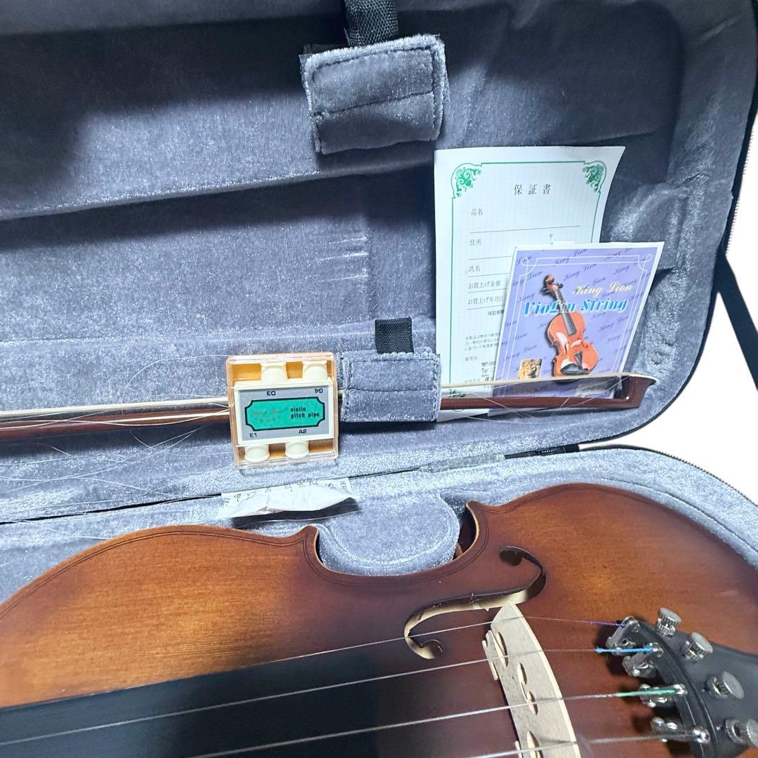 Hallstatt V-12 バイオリン 本体 ケース付ヴァイオリンおまけあり