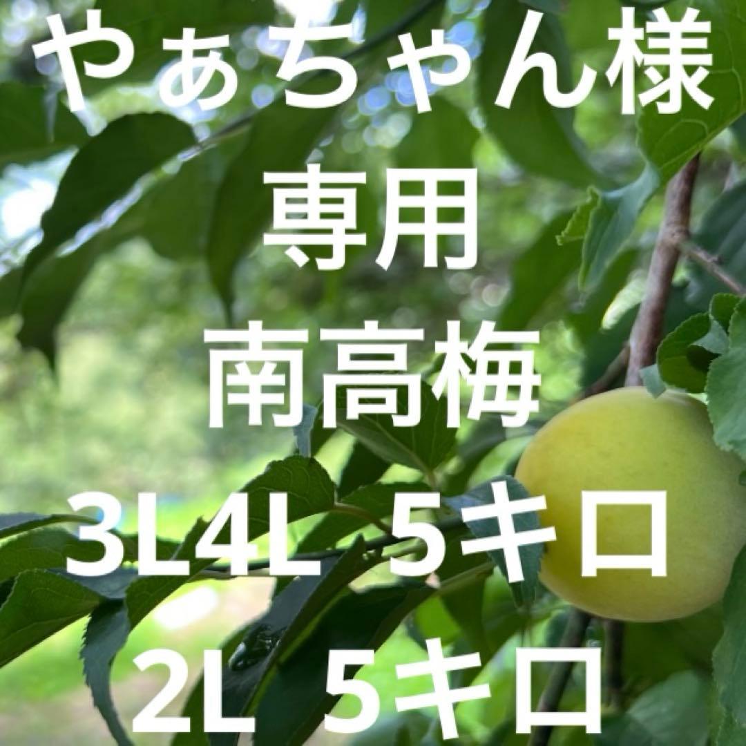 やぁちゃん専用南高梅3L4L混合5キロ2L5キロ