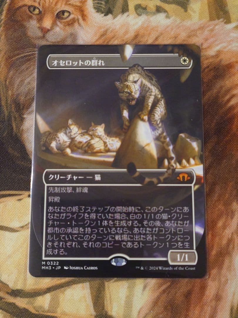 オセロットの群れ Ocelot Pride JP ボーダーレス MH3