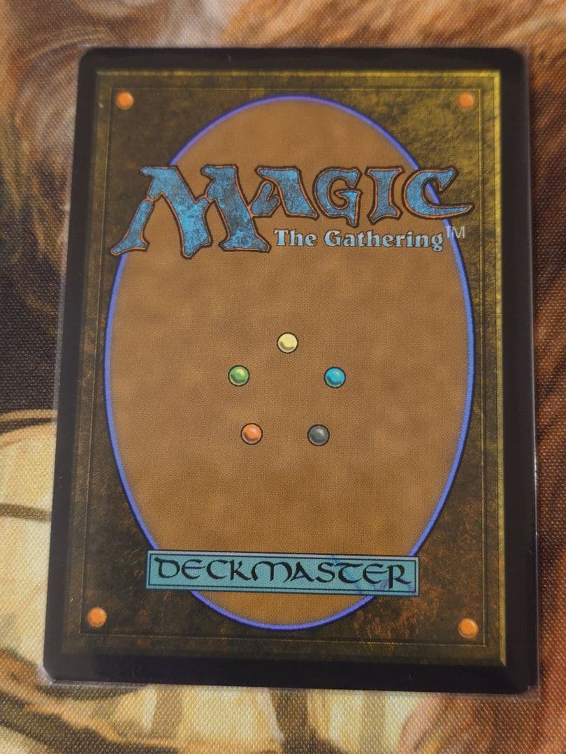 オセロットの群れ Ocelot Pride JP ボーダーレス MH3