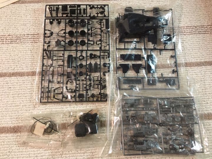 激レア テストショット品 タミヤ 1/20 ウルフ・フォードWR1