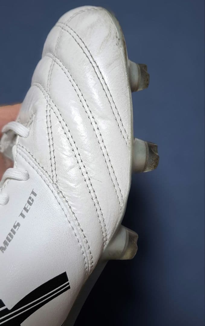 DSライトX-FLY5 26.5cm