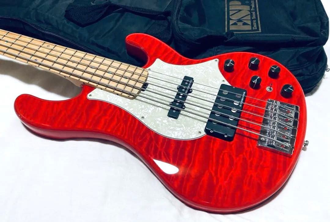 美品 Edwards E-T-170BD レッド ラルク テツヤ ケース付