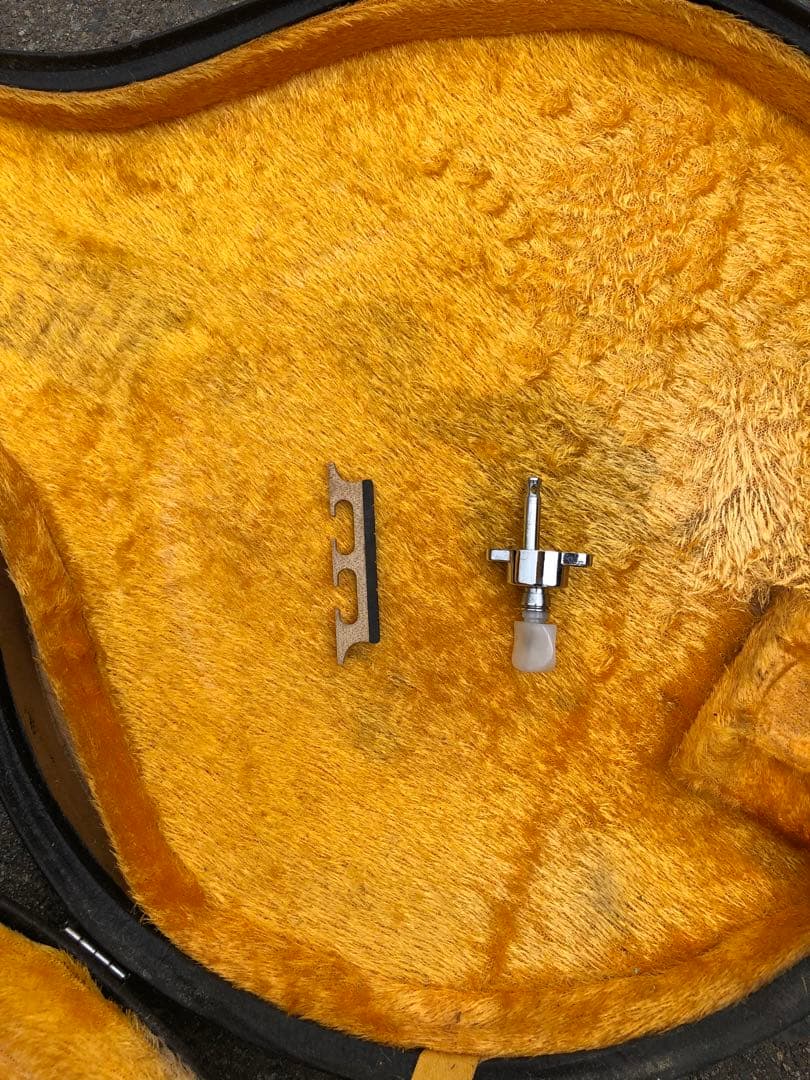 tenesy 5弦バンジョー　ハードケース付き