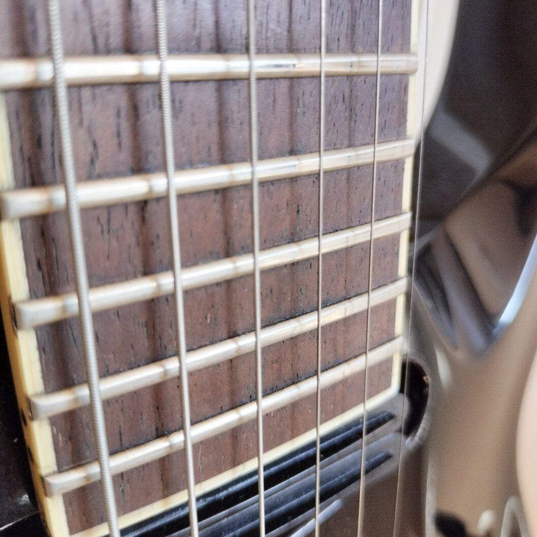 Sugizo GrassRoots G-S-58HR3 ピックアップ交換