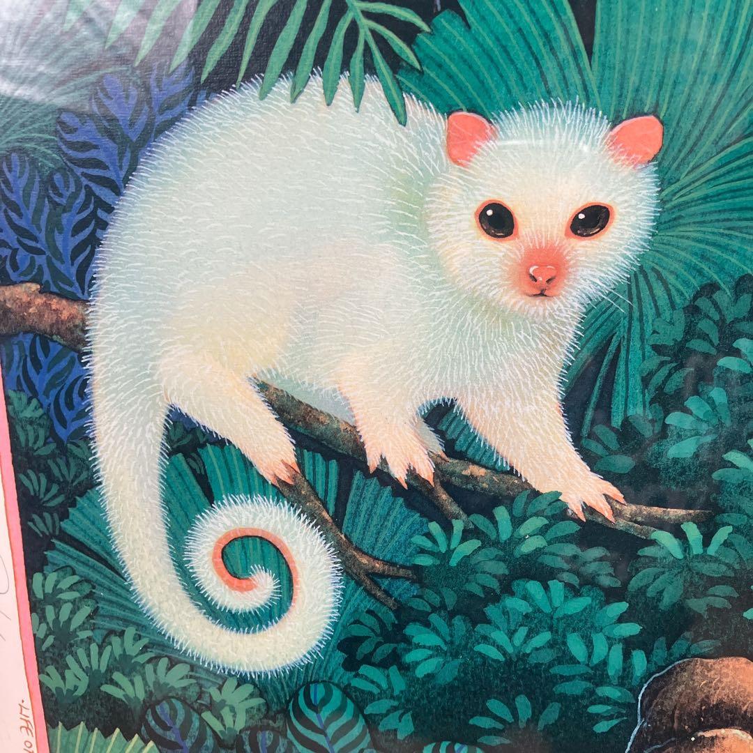 希少　ジョアン フック 絵画　リトグラフ　熱帯の動物たち　235/900