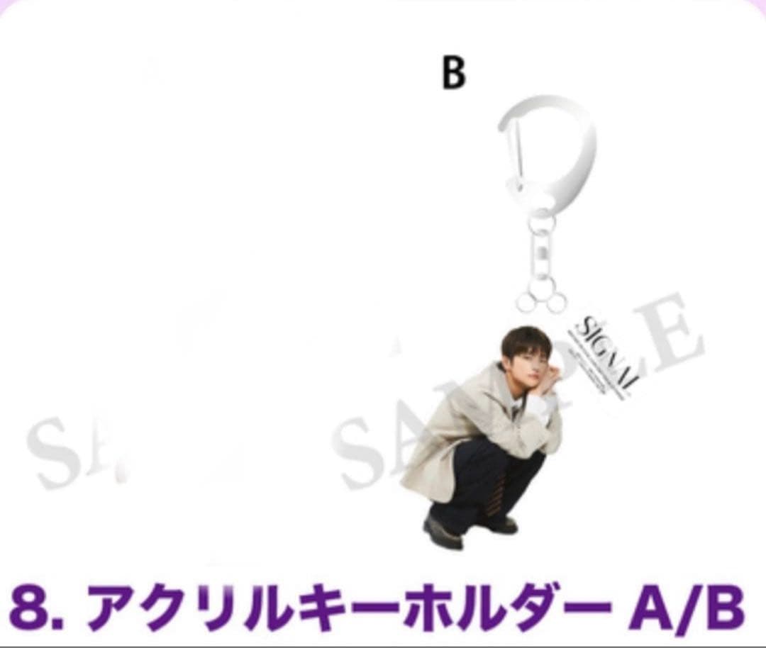 ソイングク　公式グッズセット　FC限定ポラロイド付き　ペンライトseoinguk