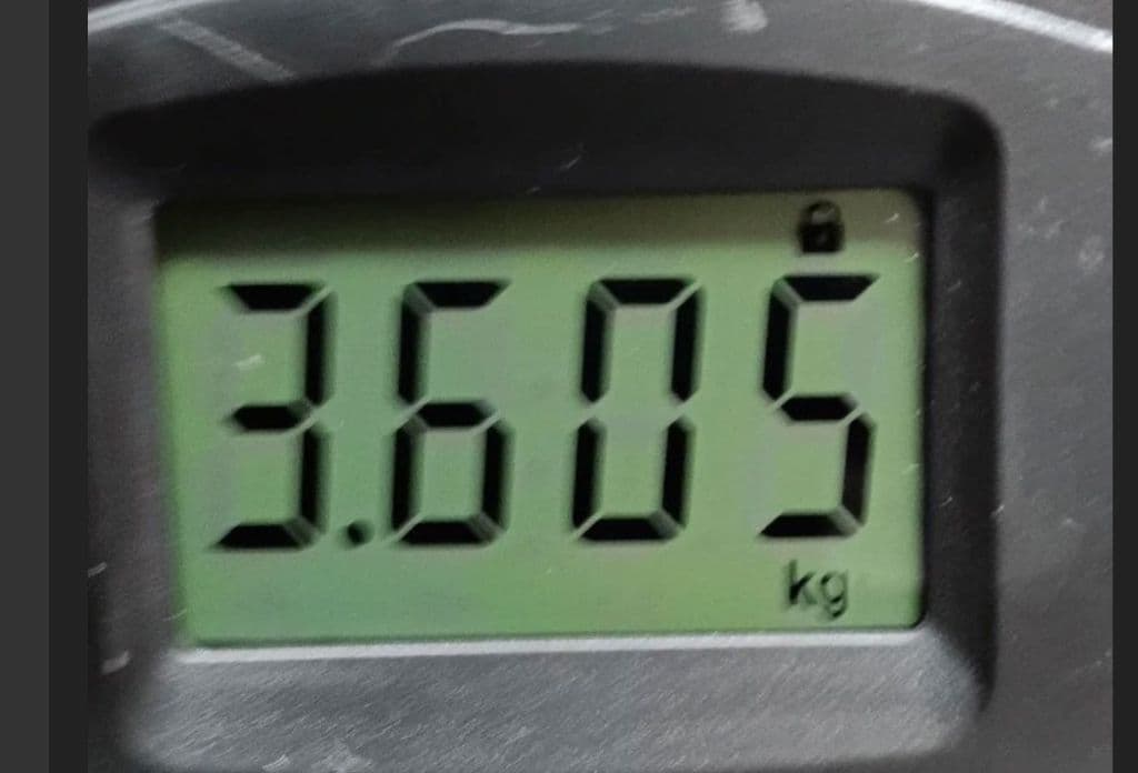 【Epiphone】エピフォン Korina Explorer