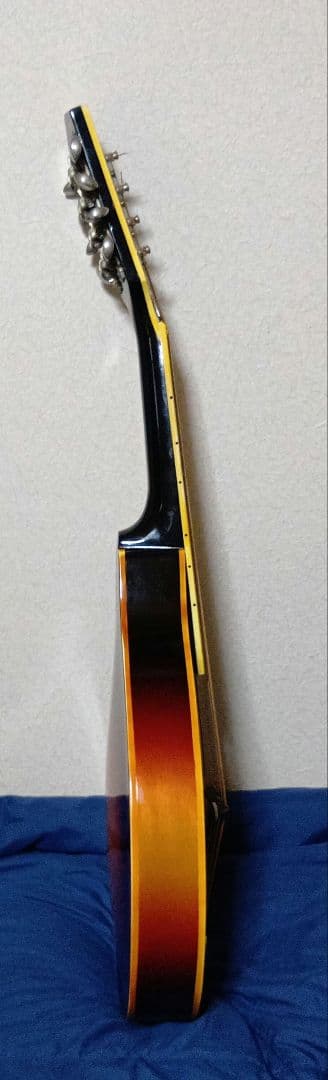 JUNBOフラットマンドリンハードケース付き