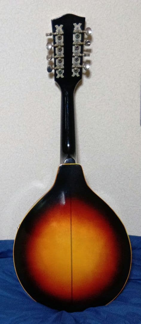 JUNBOフラットマンドリンハードケース付き